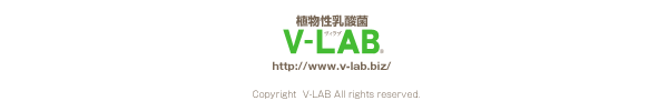 A_[V-LAB]