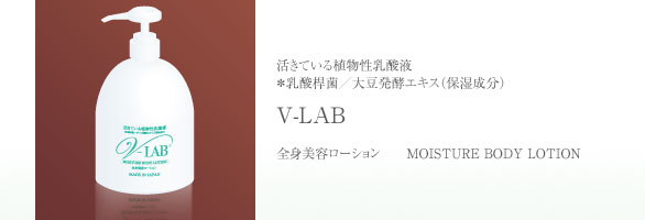 V-LAB