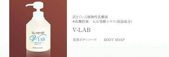 V-LAB