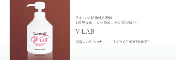 V-LAB