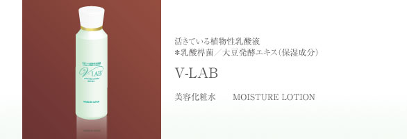 V-LAB