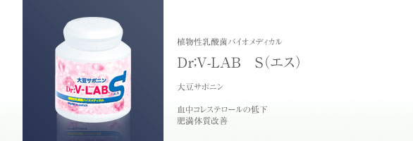 V-LAB