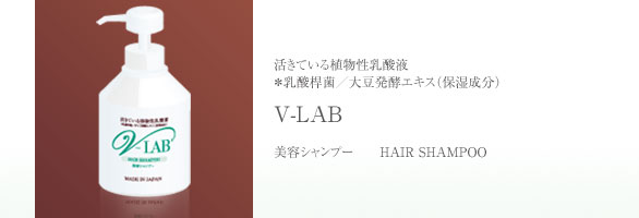 V-LAB