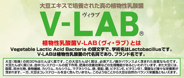 V-LAB